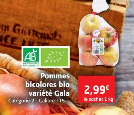 pommes bicolores bio variété gala