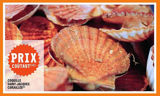 coquille saint-jacques coraillée