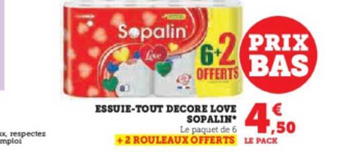 essuie-tout décore love sopalin