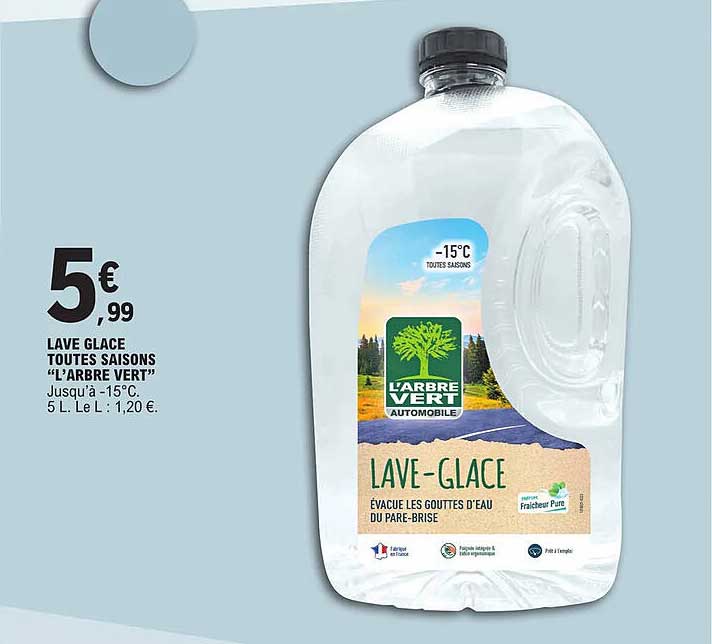 Lave Glace Toutes Saisons "l'arbre Vert"