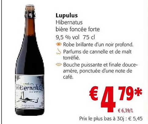 lupulus hibernatus bière foncée forte