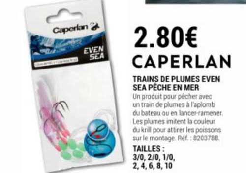 Trains De Plumes Even Sea Pêche En Mer Caperlan