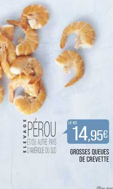 grosses queues de crevette