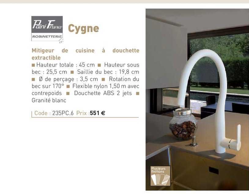 mitigeur de cuisine à douchette extractible cygne