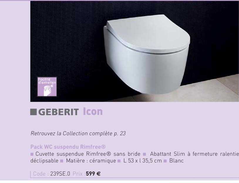 pack wc suspendu rimfree