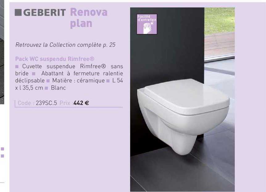 pack wc suspendu rimfree