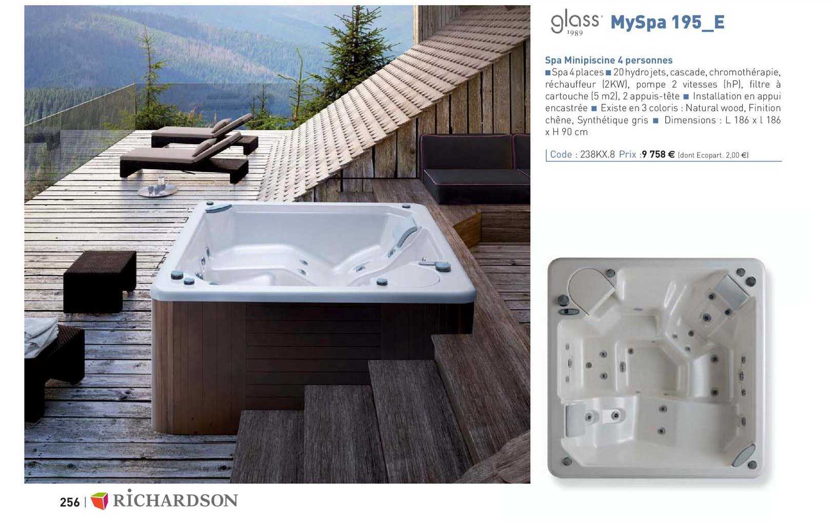 spa minipiscine 4 personne