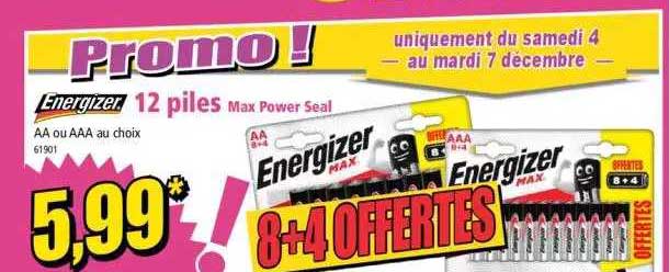 12 piles max power seal energizer