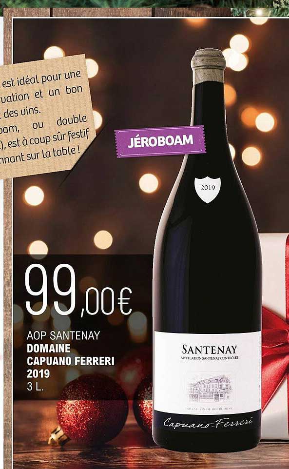 aop santenay domaine capuano ferreri 2019