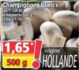 Champignons Blancs