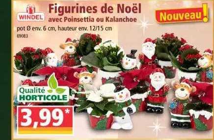 figurines de noël avec poinsettia ou kalanchoe windel