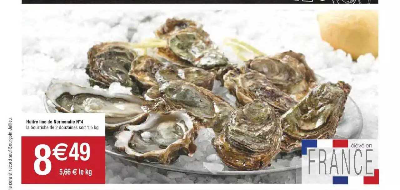 huître fine de normandie n°4
