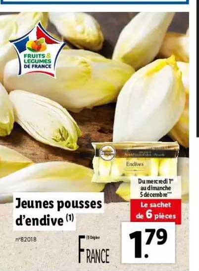 jeunes pousses d'endive