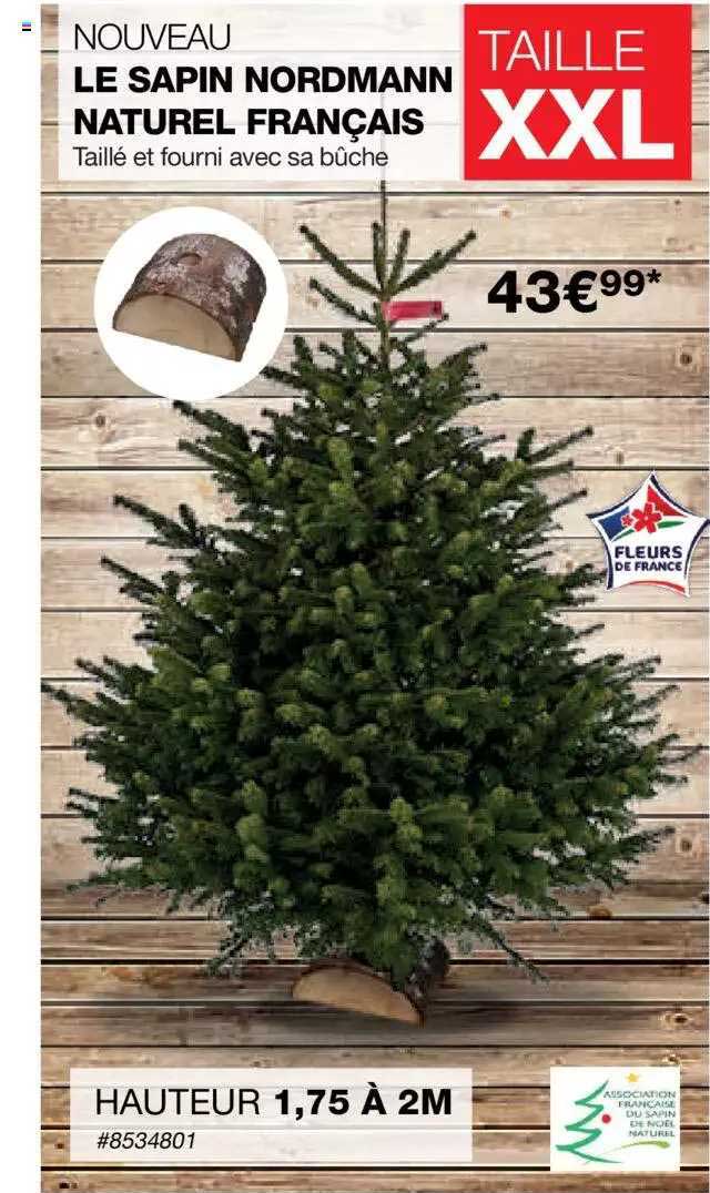 le sapin nordmann natural français
