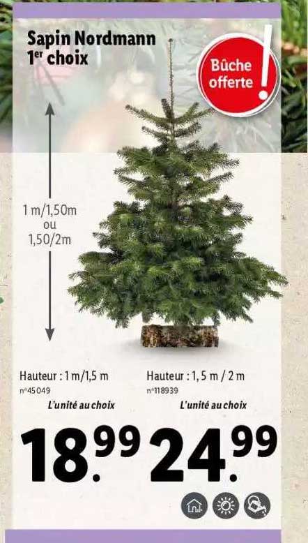 sapin nordmann 1er choix