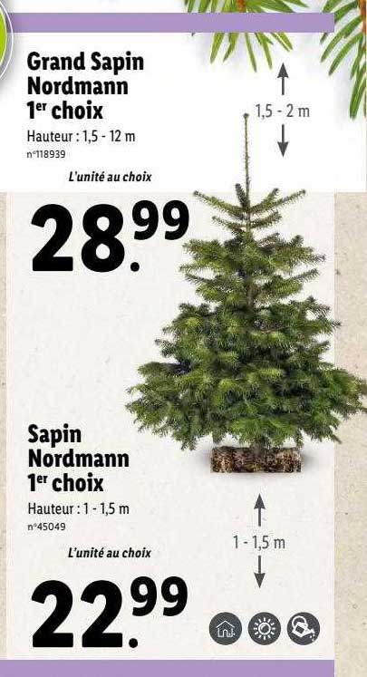 grand sapin nordmann 1er choix, sapin nordmann 1er choix