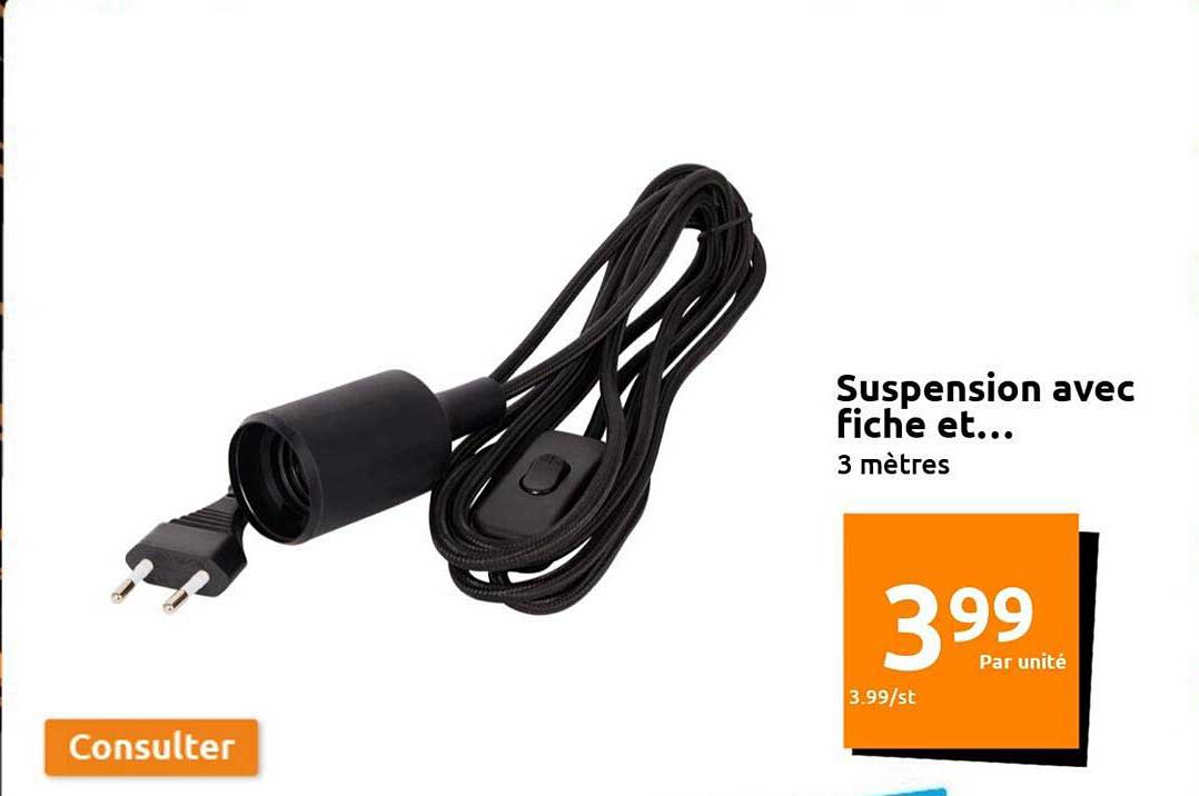 suspension avec fiche et...