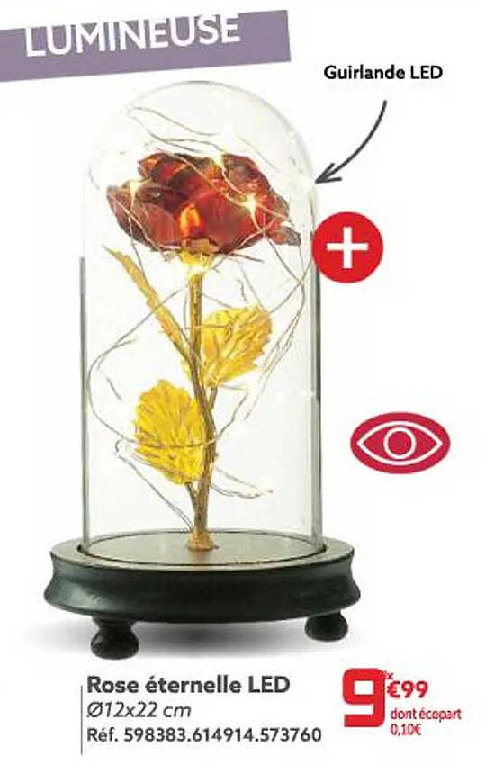 rose éternelle led