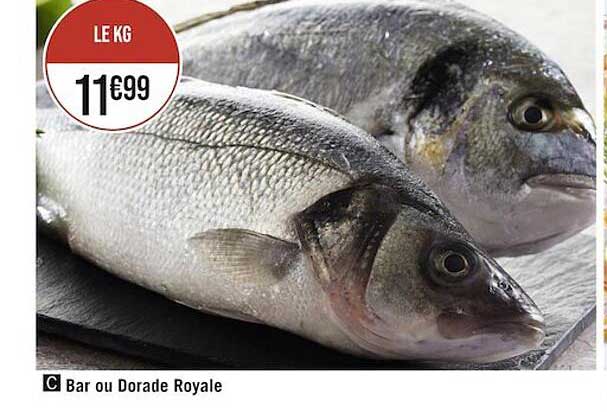 Bar Ou Dorade Royale