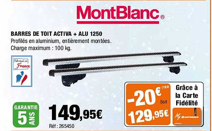 barres de toit activa + alu 1250 montBlanc