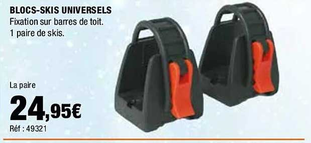 blocs-skis universels