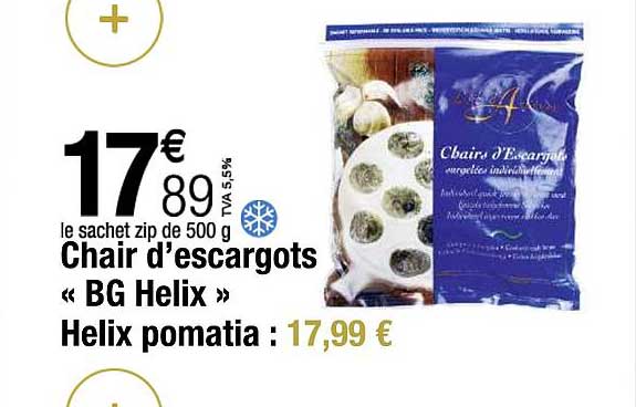 Chair 'escargots «bg Helix» Helix Pomatia