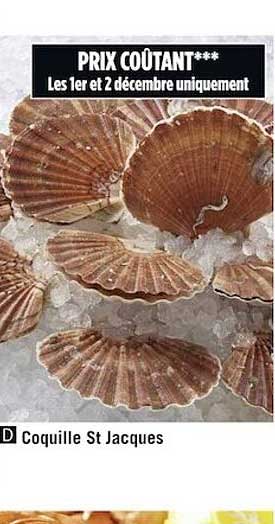 coquille st jacques