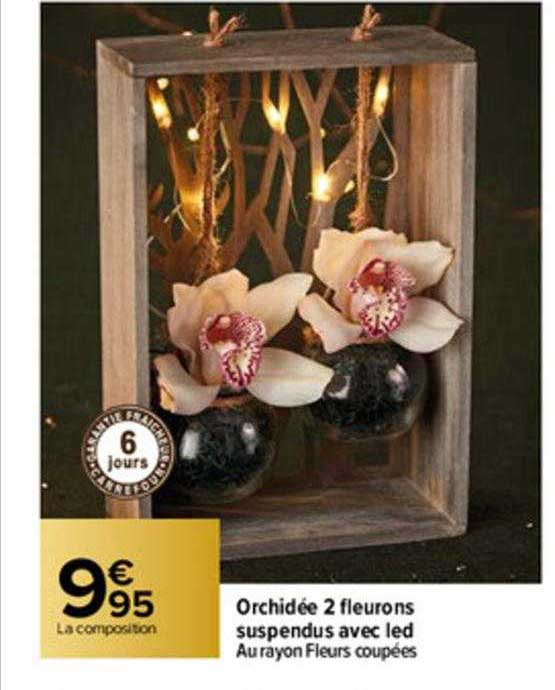 orchidée 2 fleurons suspendus avec led