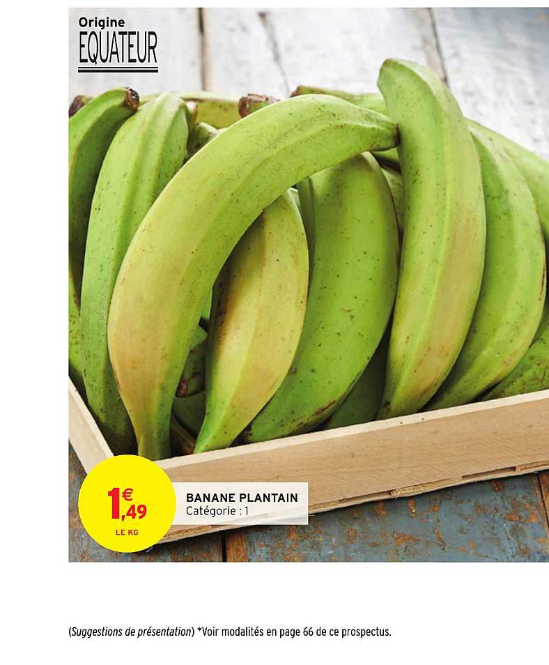 Banane Plantain