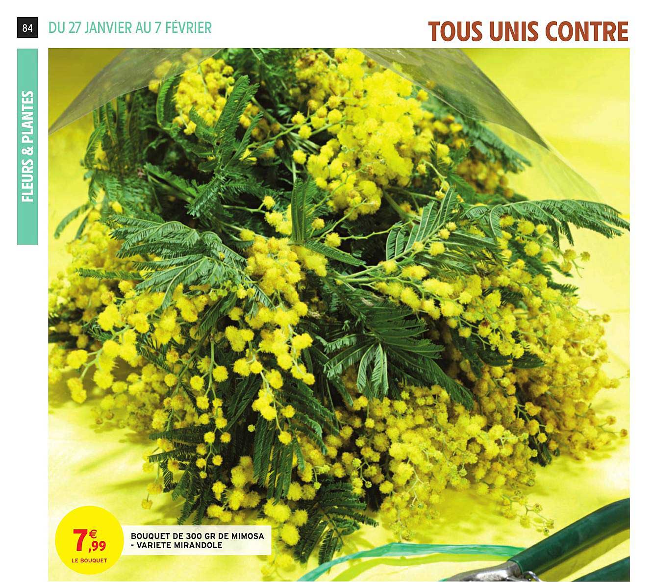 bouquet de 300 gr de mimosa - variété mirandole