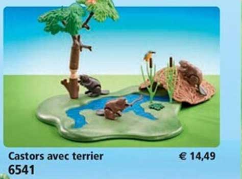 castors avec terrier