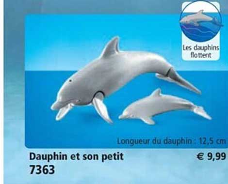 dauphin et son petit