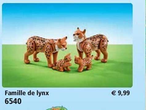 Famille De Lynx