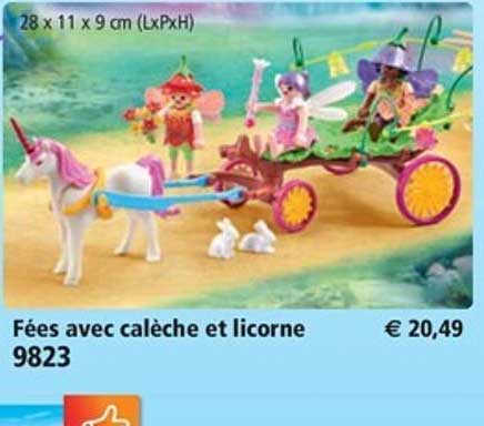 fées avec calèche et licorne