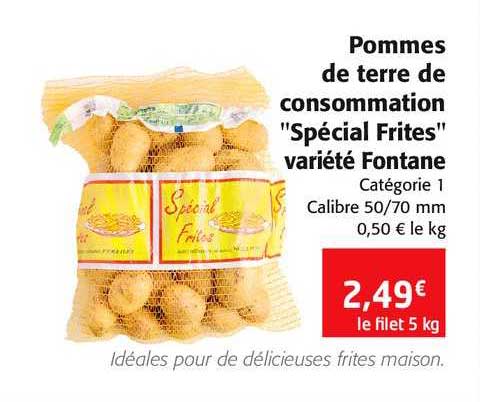 pommes de terre de consommation "spécial frites" variété fontane"