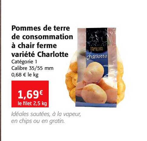 pommes de terre de consommation à chair ferme variété charlotte