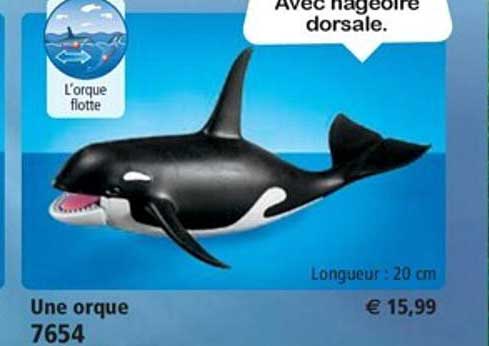 une orque