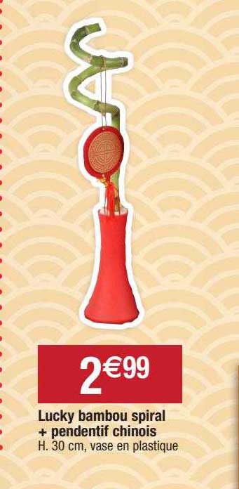 lucky bambou spiral + pendentif chinois