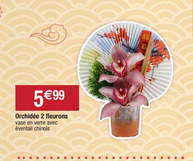 orchidée 2 fleurons