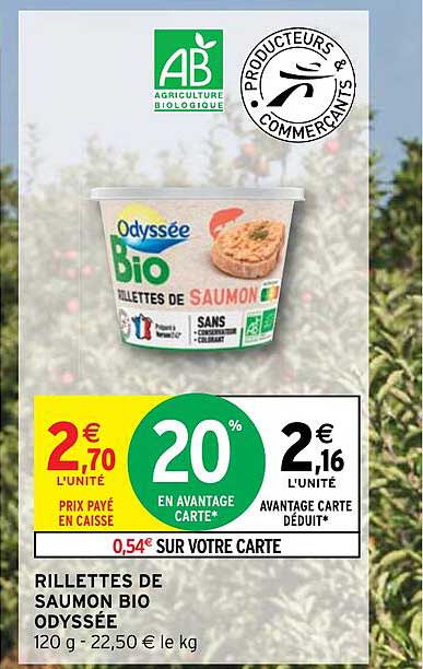 Rillettes De Saumon Bio Odyssée