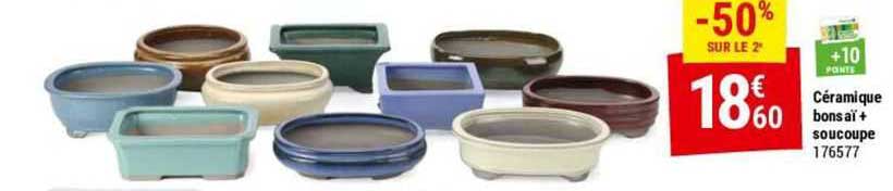 céramique bonsaï + soucoupe