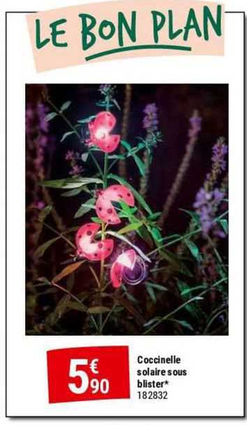 coccinelle solaire sous blister