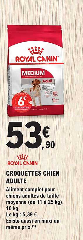 croquettes chien adulte royal canin