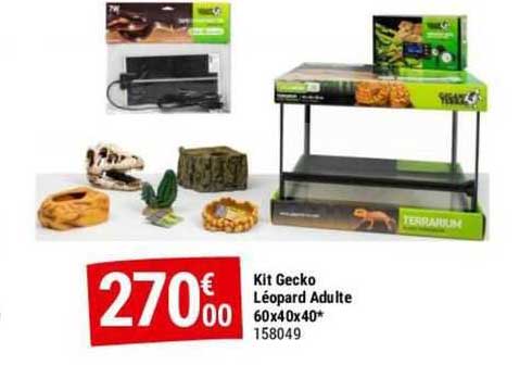 kit gecko léopard adulte 60 x 40 x 40