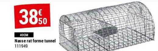 nasse rat forme tunnel