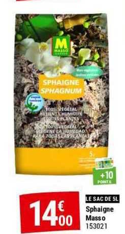 sphaigne masso