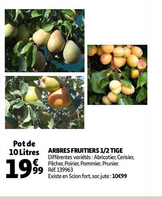 arbres fruitiers 1-2 tige