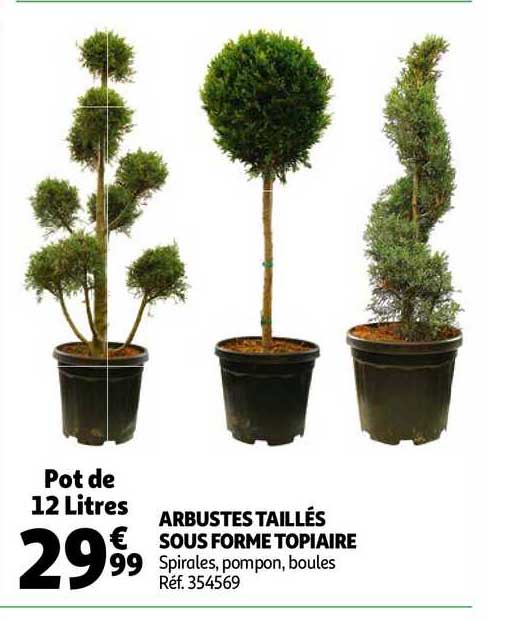 arbustes taillés sous forme topiaire