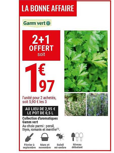 collection d'aromatiques gamm vert