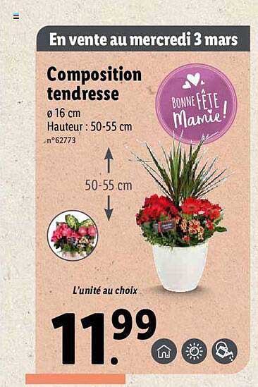 composition tendresse